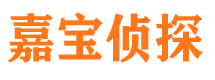 桃源寻人公司